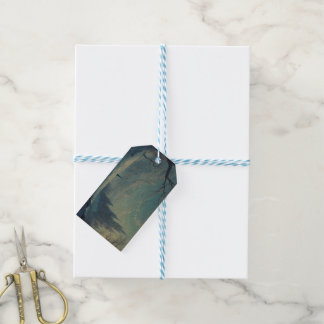 Étiquettes-cadeau Balises cadeaux - Congelé