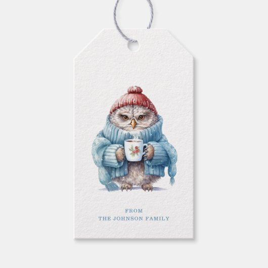Étiquettes-cadeau Balises cadeaux de Noël Owl (Devant)