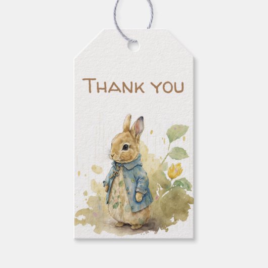 Étiquettes-cadeau Balises cadeaux Rabbit Peter party (Devant)
