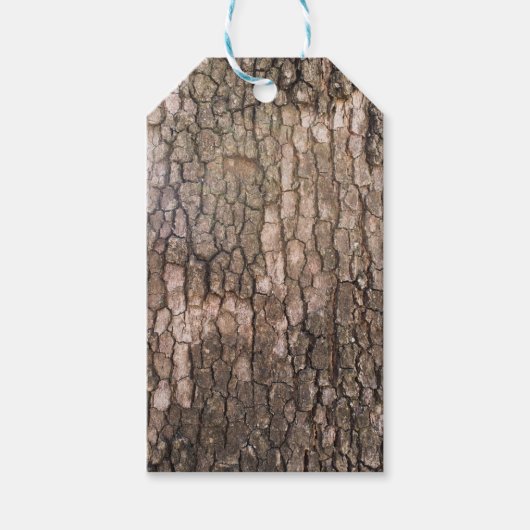 Étiquettes-cadeau Barque d'arbre (Devant)