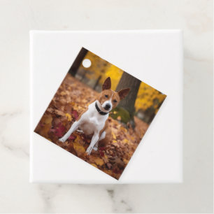 Étiquettes Cadeau Basenji en automne Feuilles automne Inspiration