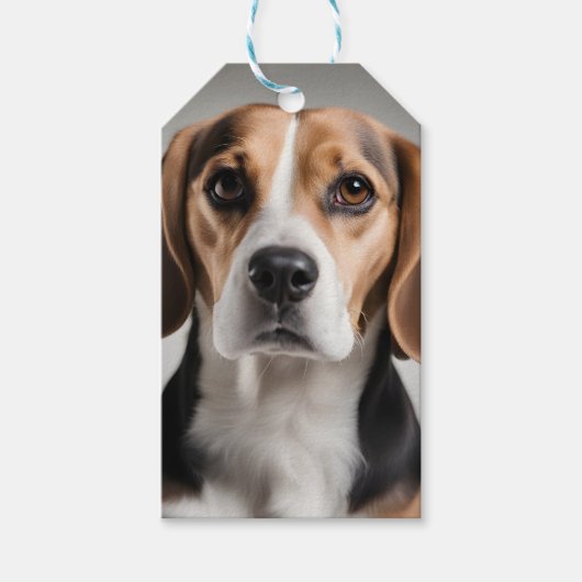Étiquettes-cadeau Beagle mignon (Devant)
