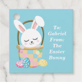 Étiquettes Cadeau Bébé mignon Bleu Lapin de Pâques Customisé (Devant)