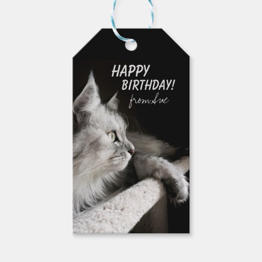 Étiquettes-cadeau Belle Chat Thématique Anniversaire Personnalisé Ta (Devant)