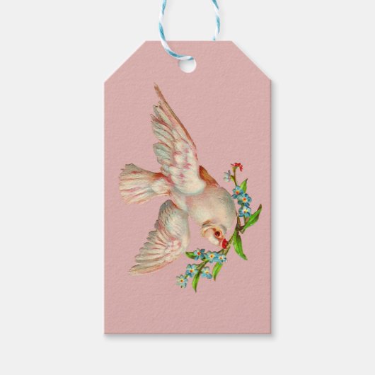 Étiquettes-cadeau belle colombe blanche avec sprig dans la bouche (Devant)