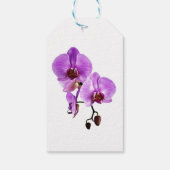 Étiquettes-cadeau Belle orchidée violette phalaenopsis (Dos)