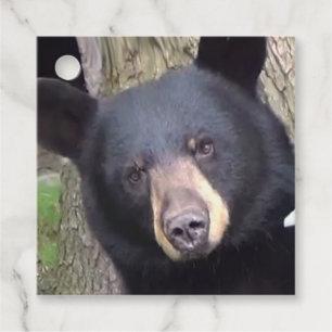 Étiquettes Cadeau Belle Ours Noir