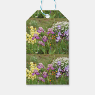 Étiquettes-cadeau Belle photo florale d'Iris violet