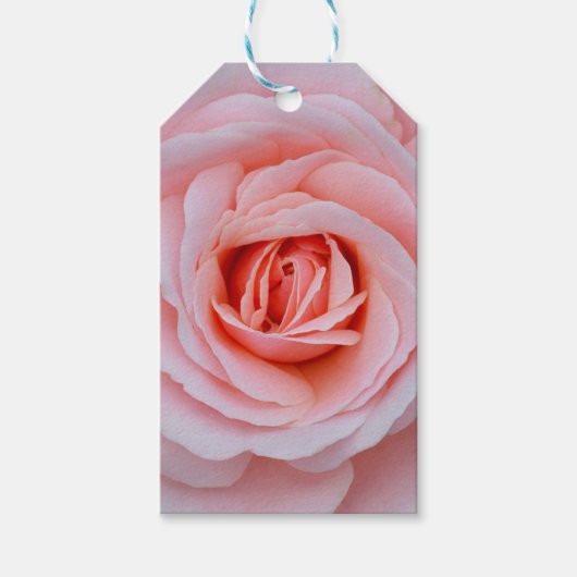Étiquettes-cadeau Belle rose rose (Devant)