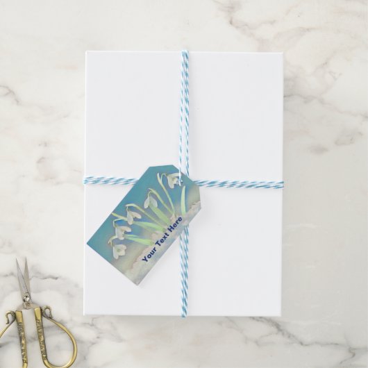 Étiquettes-cadeau Bleu neige (With Twine)
