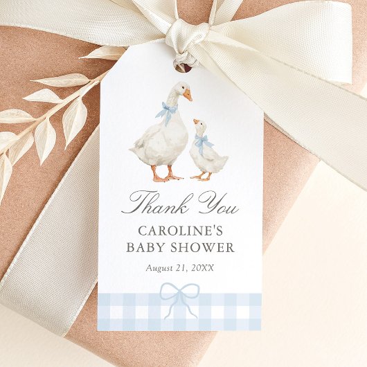 Étiquettes-cadeau Blue Gingham Silly Goose Baby Shower