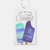 Étiquettes-cadeau Blue Popsicle fête d'anniversaire Merci Favoriser (Devant)