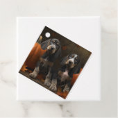 Étiquettes Cadeau Bluetick Coonhound Chiot Automne Citrouille de pla (En situation)
