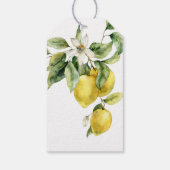 Étiquettes-cadeau Boho rustique Aquarelle Citrons Citrus Merci (Dos)