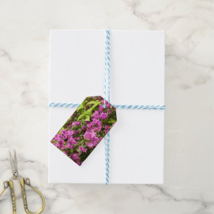 Étiquettes-cadeau Bougainvillées tropicales violettes