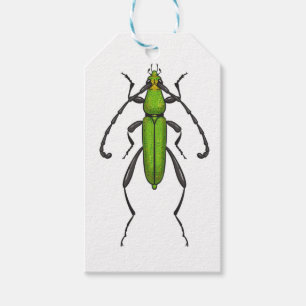 Étiquettes-cadeau Bousier vert