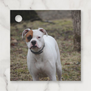 Étiquettes Cadeau Boxer