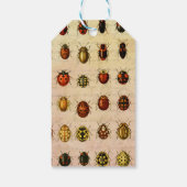 Étiquettes-cadeau Bug d'insectes coccinelle de coccinelle (Dos)