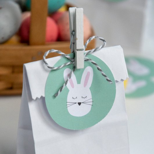 Étiquettes Cadeau Cadeau de lapin de Pâques doux