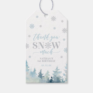 Étiquettes-cadeau Cadeau de remerciement Silver & Blue Winter Wonder