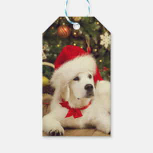Étiquettes-cadeau CADEAU TAG LAIT BLANC LAIT AVEC chapeau de Père No