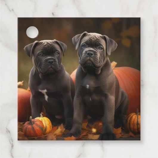 Étiquettes Cadeau Cane Corso Chiot Automne Citrouille de plaisir (Devant)