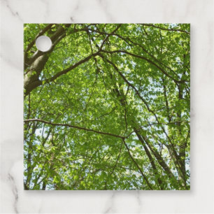 Étiquettes Cadeau Canopée du printemps Feuille Green Nature Scene