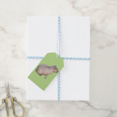 Étiquettes-cadeau Capybara (Avec de laficelle)
