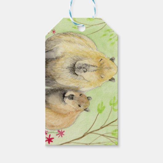 Étiquettes-cadeau Capybara (Devant)