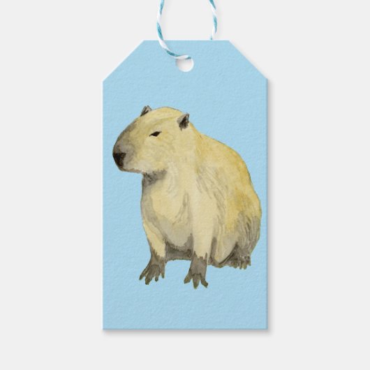 Étiquettes-cadeau Capybara (Devant)