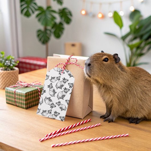 Étiquettes-cadeau Capybara Avec Chapeau Haut
