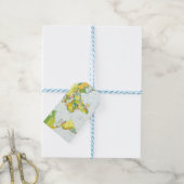 Étiquettes-cadeau Carte mondiale Globe Pays Atlas (Avec de laficelle)