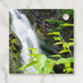 Étiquettes Cadeau Cascade de Hell's Gate Canyon (Dos)