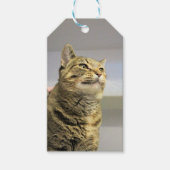 Étiquettes-cadeau Cat (Devant)