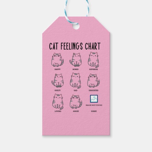 Étiquettes-cadeau Cat Feelings Chart (Devant)