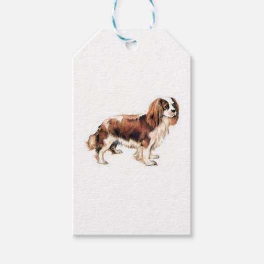 Étiquettes-cadeau Cavalier King Charles Spaniel (Devant)
