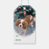 Étiquettes-cadeau Cavalier King Charles Spaniel Christmas Cadeaux Ta (Devant)