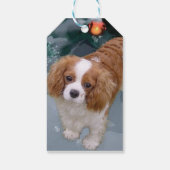 Étiquettes-cadeau Cavalier King Charles Spaniel Christmas Cadeaux Ta (Dos)