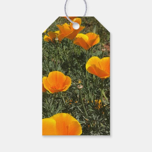 Étiquettes-cadeau Champ de coquelicots (Devant)