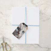 Étiquettes-cadeau Chat blanc (Avec de laficelle)