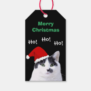 Étiquettes-cadeau Chat dans le casquette de Père Noël