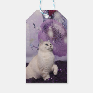 Étiquettes-cadeau Chat de Purple