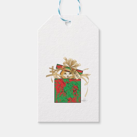 Étiquettes-cadeau Chat d'orange - Surprix cadeau de Noël (Devant)