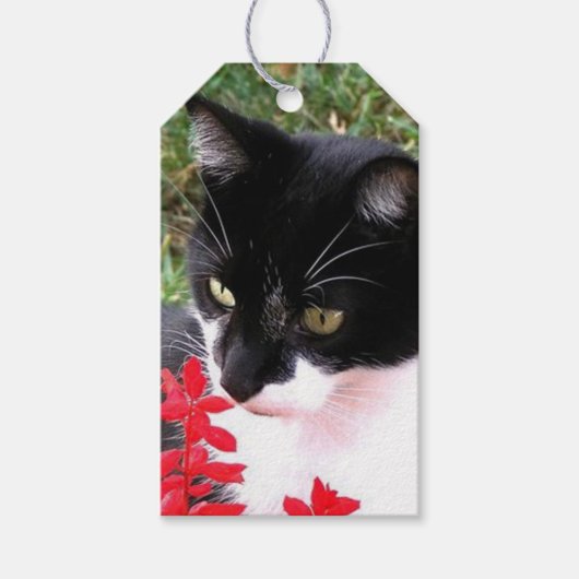 Étiquettes-cadeau Chat Tuxedo génial dans le jardin (Devant)