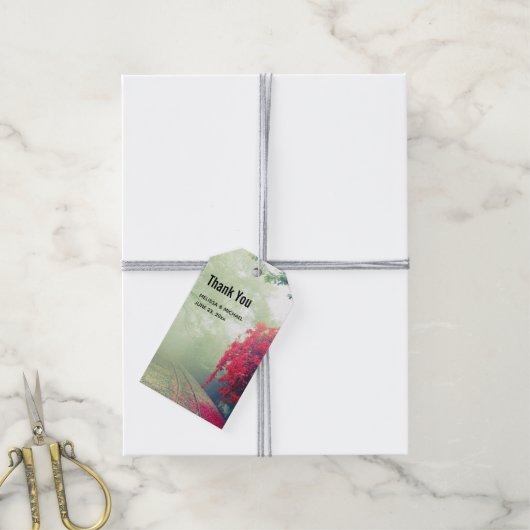 Étiquettes-cadeau Chemins de fer Misty Trails Pittoresque Merci phot (Avec de la ficelle)