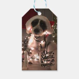 Étiquettes-cadeau Cher Père Noël, je peux expliquer (chien)