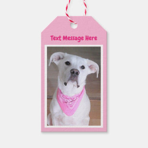 Étiquettes-cadeau Chien blanc mignon portant l'écharpe rose Gif Fê