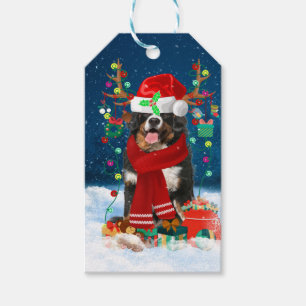Étiquettes-cadeau Chien de montagne bernois en neige avec cadeaux de