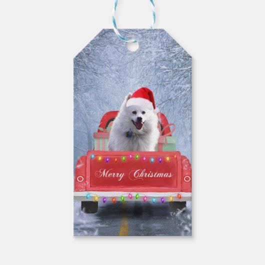 Étiquettes-cadeau Chien Eskimo américain en neige assis à Noël (Devant)