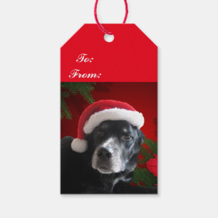 Étiquettes-cadeau Chien-Laboratoire/rottweiler de Père Noël avec